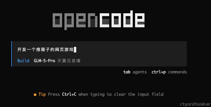 course2-first-project-promt.png