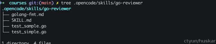 course6-skill-gofmt-skill-dir.png
